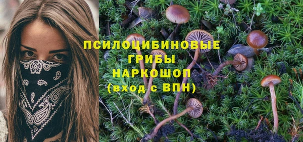 таблы Верхний Тагил