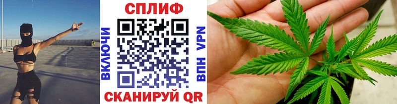 где купить наркотик  Злынка  Марихуана ГИДРОПОН 